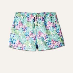Swim Shorts Sea Urchin (Green) - K A M P O S