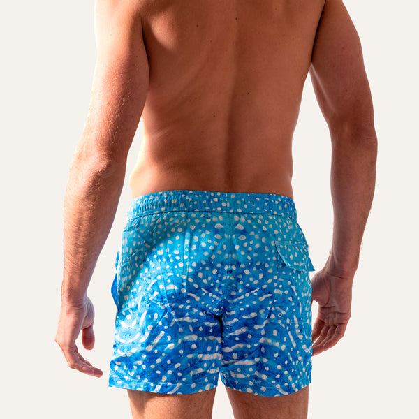 Swim Shorts Whale Shark -